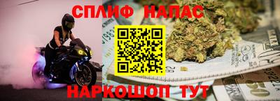 СК Пугачёв