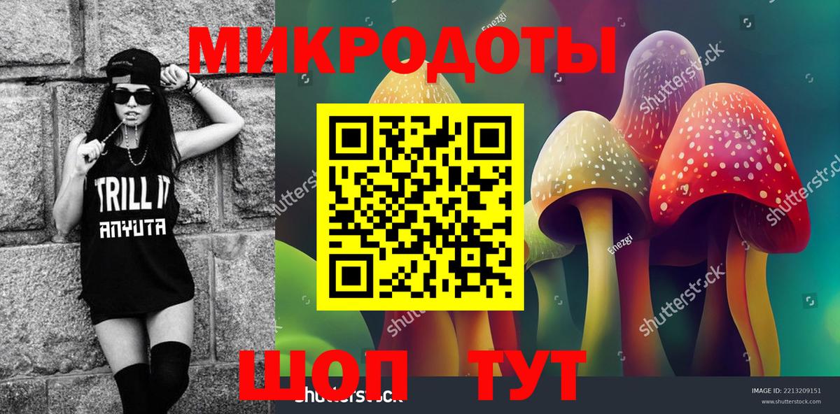 Псилоцибиновые грибы Psilocybine cubensis Реж