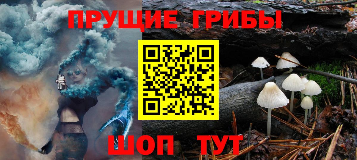 Галлюциногенные грибы GOLDEN TEACHER  Псилоцибиновые грибы Magic Shrooms  что такое   Вход с VPN  Реж 